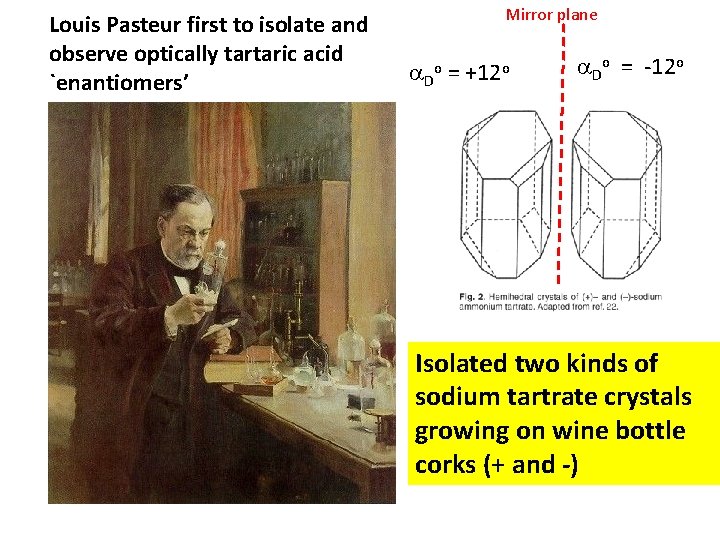 Louis Pasteur first to isolate and observe optically tartaric acid `enantiomers’ Mirror plane D