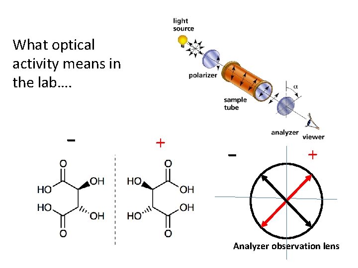 What optical activity means in the lab…. - + Analyzer observation lens 