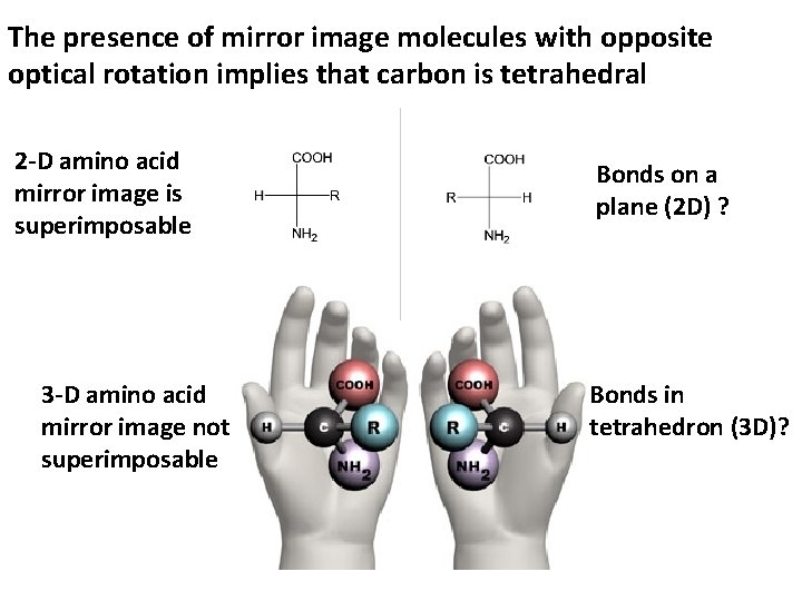 The presence of mirror image molecules with opposite optical rotation implies that carbon is