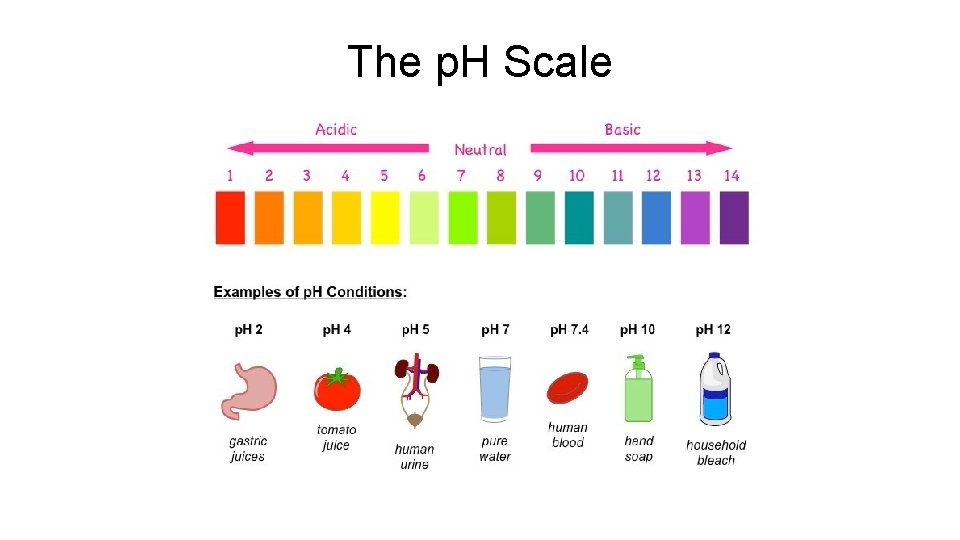 The p. H Scale 