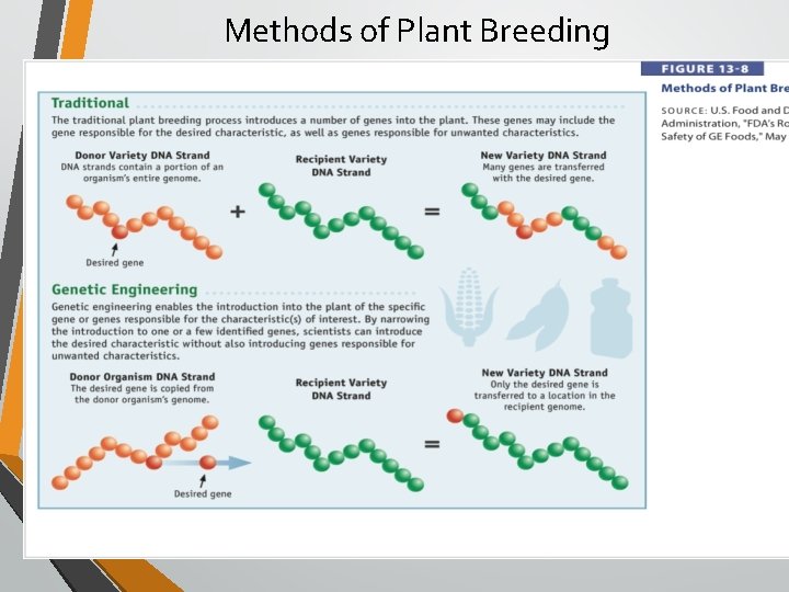 Methods of Plant Breeding 