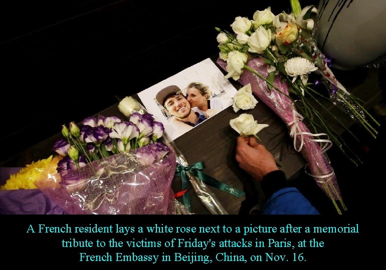 A French resident lays a white rose next to a picture after a memorial