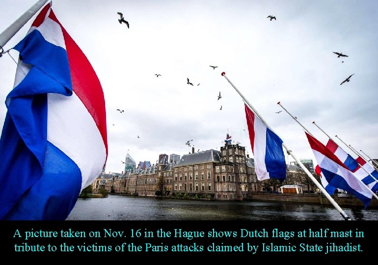 A picture taken on Nov. 16 in the Hague shows Dutch flags at half