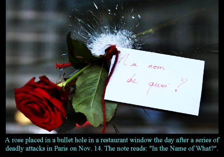 A rose placed in a bullet hole in a restaurant window the day after