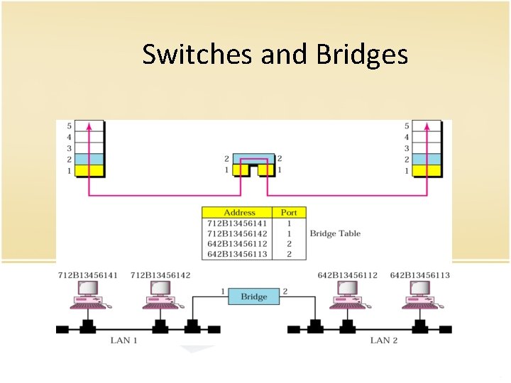 Switches and Bridges 