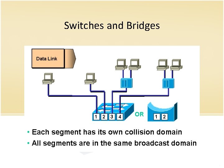Switches and Bridges 