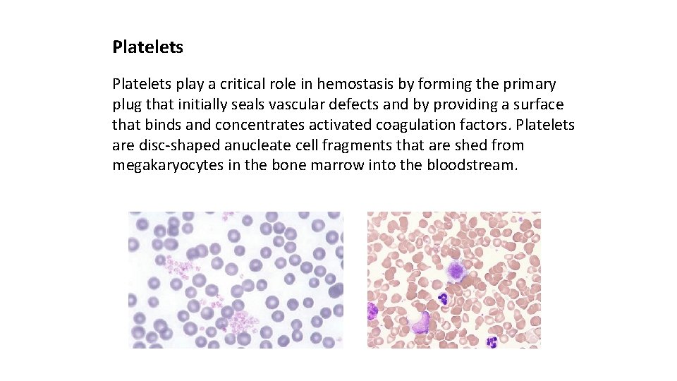 Platelets play a critical role in hemostasis by forming the primary plug that initially