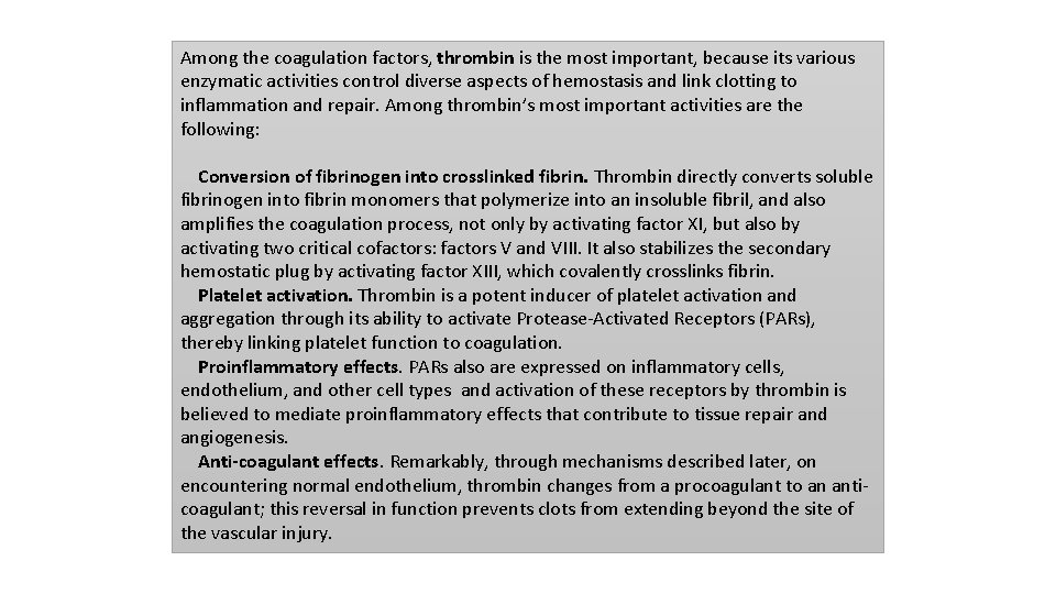 Among the coagulation factors, thrombin is the most important, because its various enzymatic activities