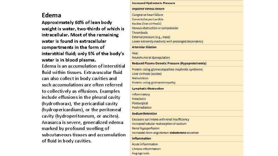 Edema Approximately 60% of lean body weight is water, two-thirds of which is intracellular.