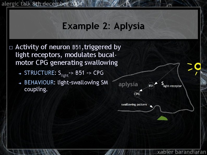 Example 2: Aplysia � Activity of neuron B 51, triggered by light receptors, modulates