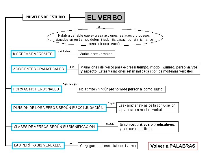 EL VERBO NUVELES DE ESTUDIO es Palabra variable que expresa acciones, estados o procesos,