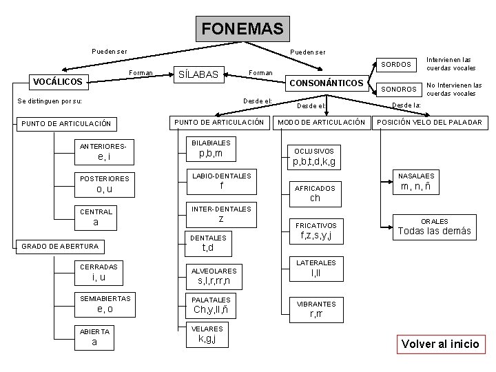FONEMAS Pueden ser Forman VOCÁLICOS CONSONÁNTICOS Desde el: ANTERIORES- e, i POSTERIORES PUNTO DE