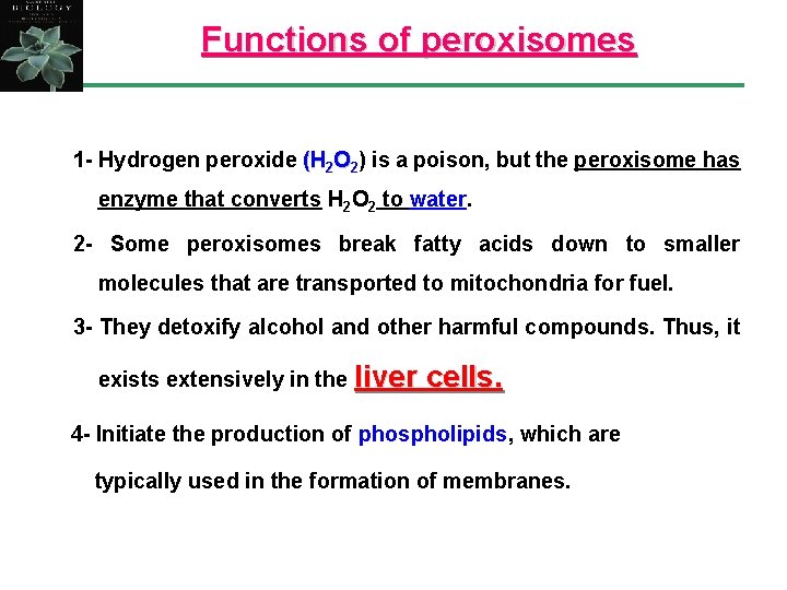 Functions of peroxisomes 1 - Hydrogen peroxide (H 2 O 2) is a poison,