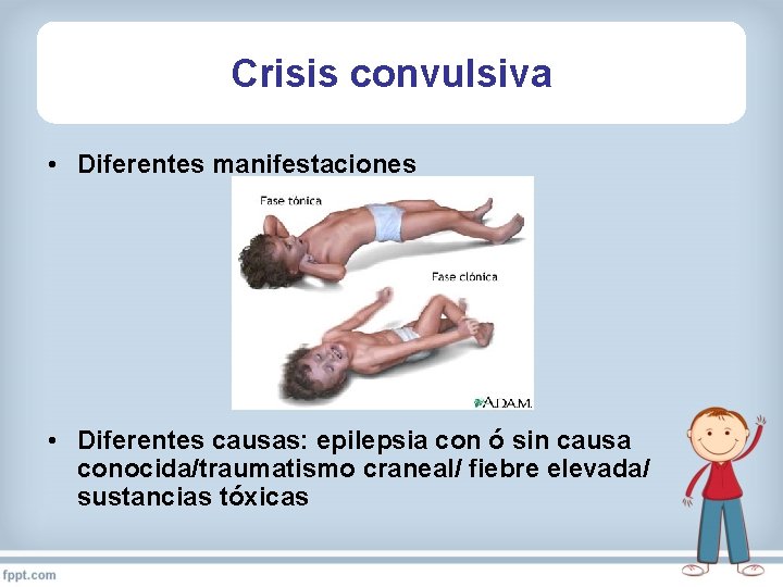 Crisis convulsiva • Diferentes manifestaciones • Diferentes causas: epilepsia con ó sin causa conocida/traumatismo