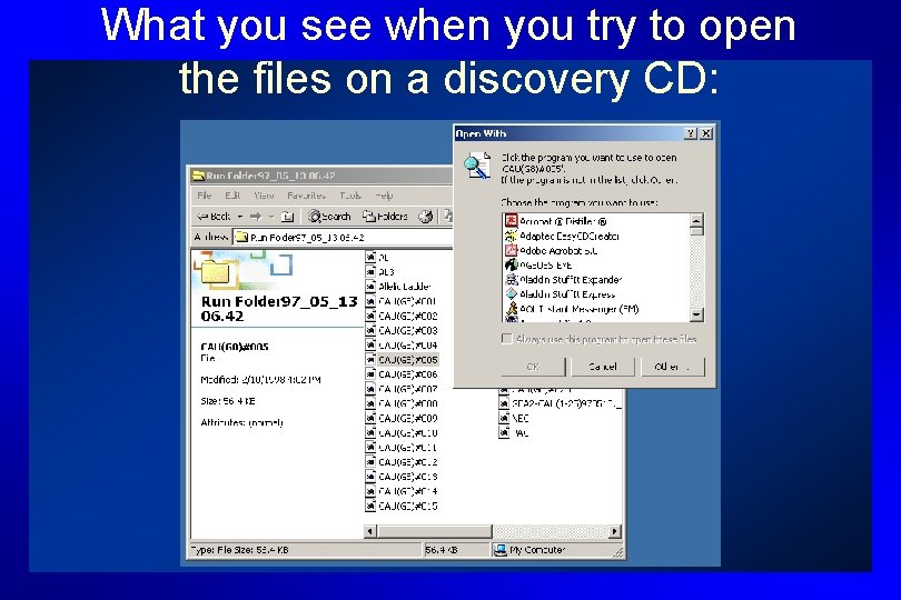 What you see when you try to open the files on a discovery CD: