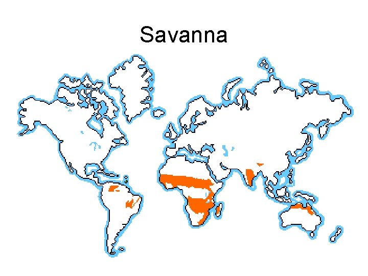 Savanna 