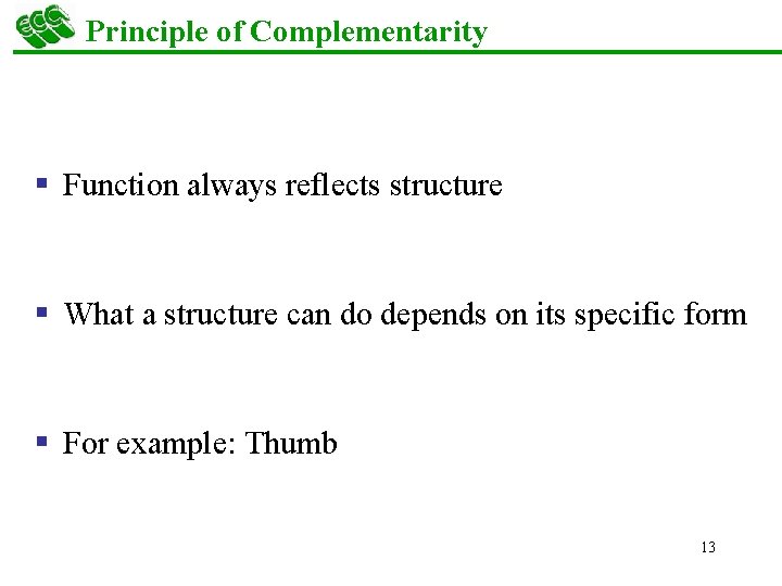 Principle of Complementarity § Function always reflects structure § What a structure can do