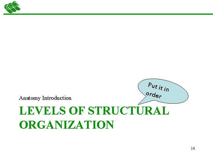 Anatomy Introduction Put it in order LEVELS OF STRUCTURAL ORGANIZATION 14 