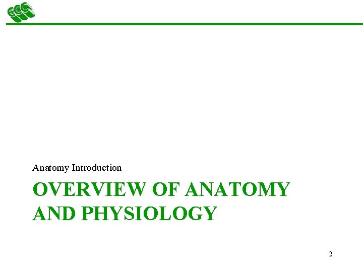 Anatomy Introduction OVERVIEW OF ANATOMY AND PHYSIOLOGY 2 