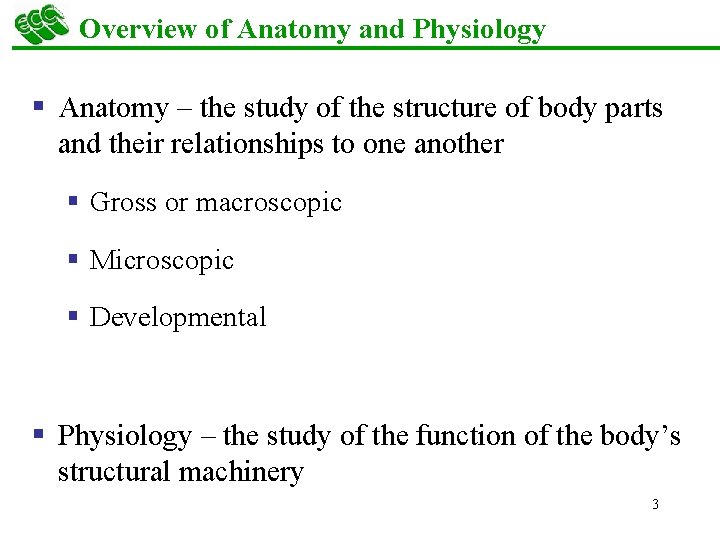 Overview of Anatomy and Physiology § Anatomy – the study of the structure of