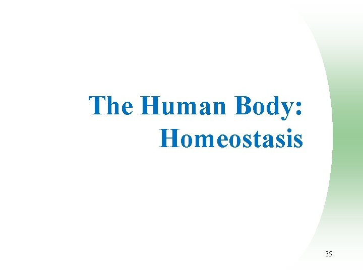 The Human Body: Homeostasis 35 