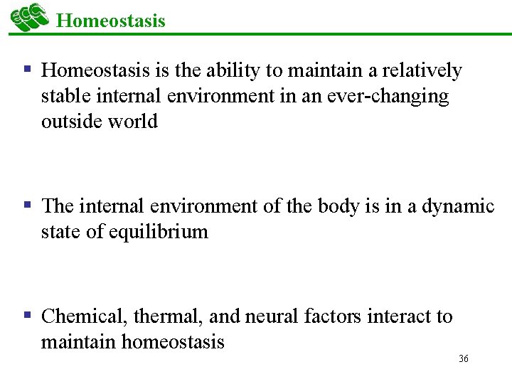 Homeostasis § Homeostasis is the ability to maintain a relatively stable internal environment in