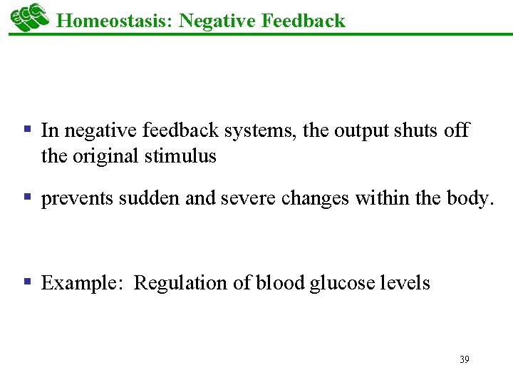Homeostasis: Negative Feedback § In negative feedback systems, the output shuts off the original