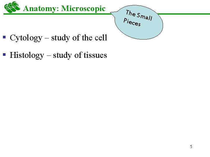 Anatomy: Microscopic The S mall Piece s § Cytology – study of the cell