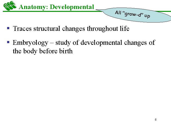 Anatomy: Developmental All “grow-d” up § Traces structural changes throughout life § Embryology –