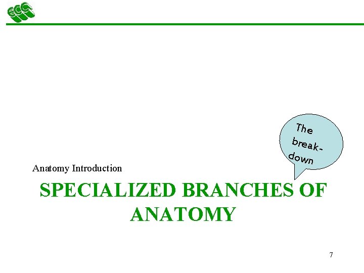 Anatomy Introduction The break down SPECIALIZED BRANCHES OF ANATOMY 7 