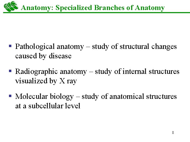 Anatomy: Specialized Branches of Anatomy § Pathological anatomy – study of structural changes caused