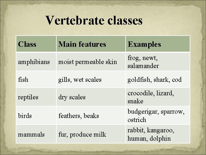 Vertebrate classes Class Main features Examples amphibians moist permeable skin frog, newt, salamander fish