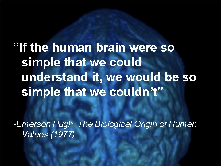 “If the human brain were so simple that we could understand it, we would