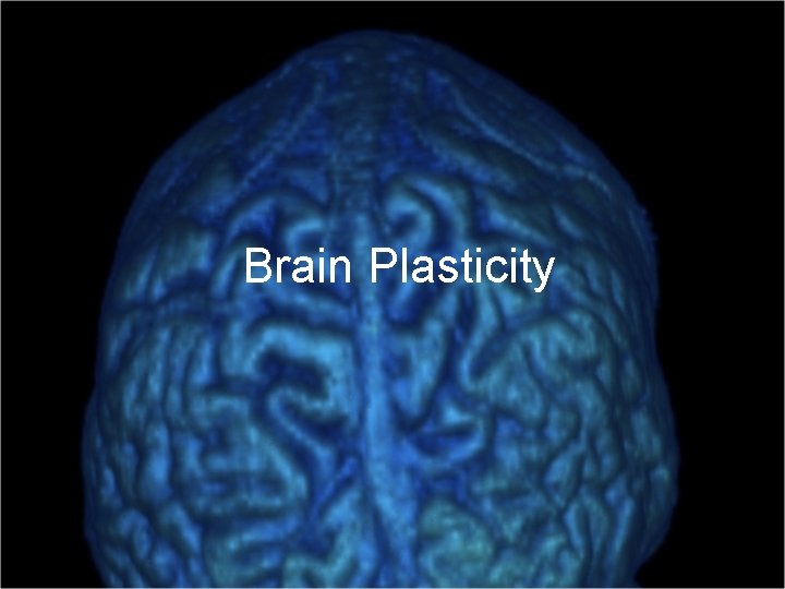 Brain Plasticity 