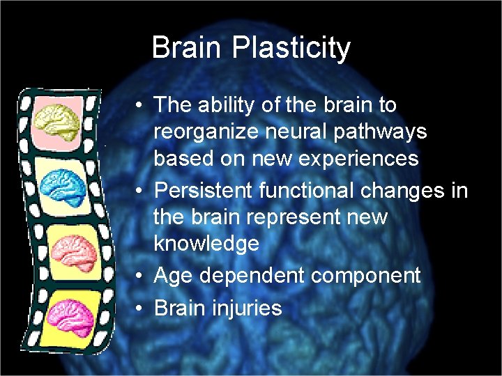 Brain Plasticity • The ability of the brain to reorganize neural pathways based on