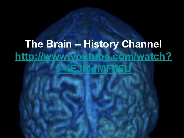 The Brain – History Channel http: //www. youtube. com/watch? v=i. E 3 Mg. MFf.