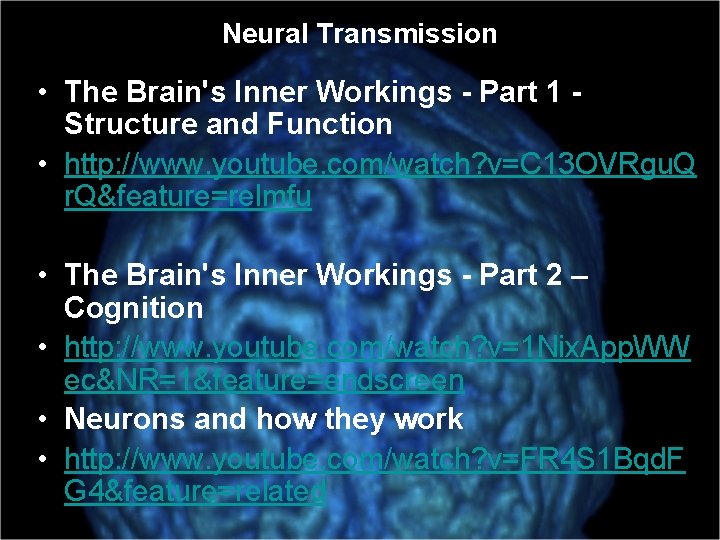 Neural Transmission • The Brain's Inner Workings - Part 1 Structure and Function •