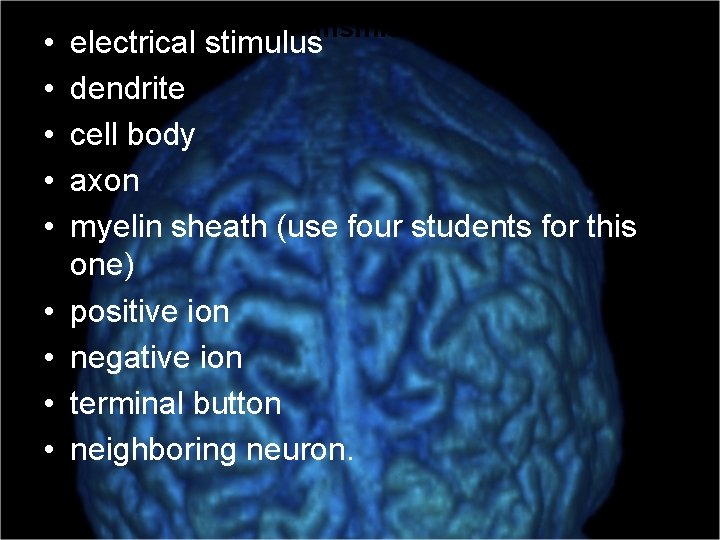  • • • Neural Transmission Act 1 electrical stimulus dendrite cell body axon