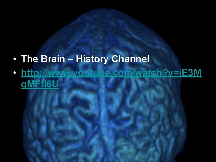 • The Brain – History Channel • http: //www. youtube. com/watch? v=i. E