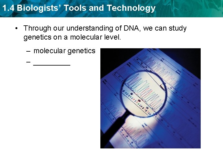 1. 4 Biologists’ Tools and Technology • Through our understanding of DNA, we can