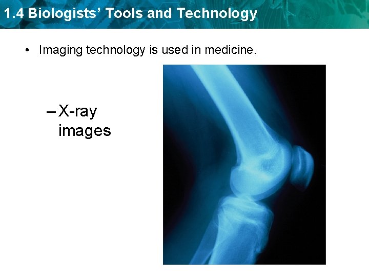 1. 4 Biologists’ Tools and Technology • Imaging technology is used in medicine. –