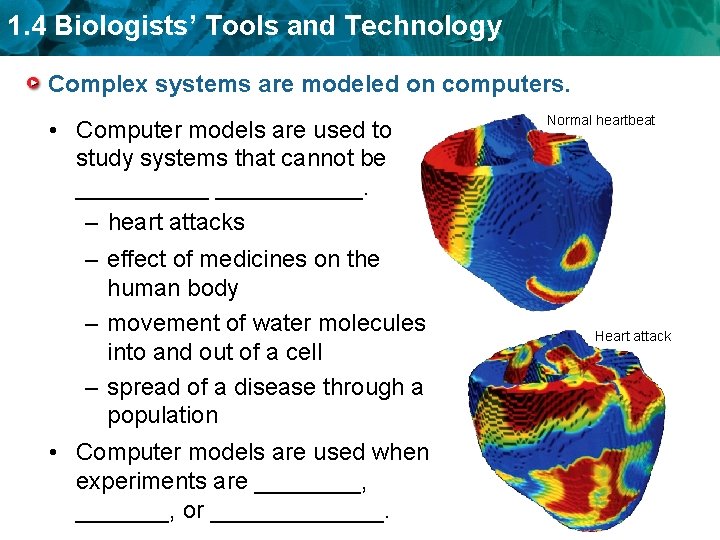 1. 4 Biologists’ Tools and Technology Complex systems are modeled on computers. • Computer