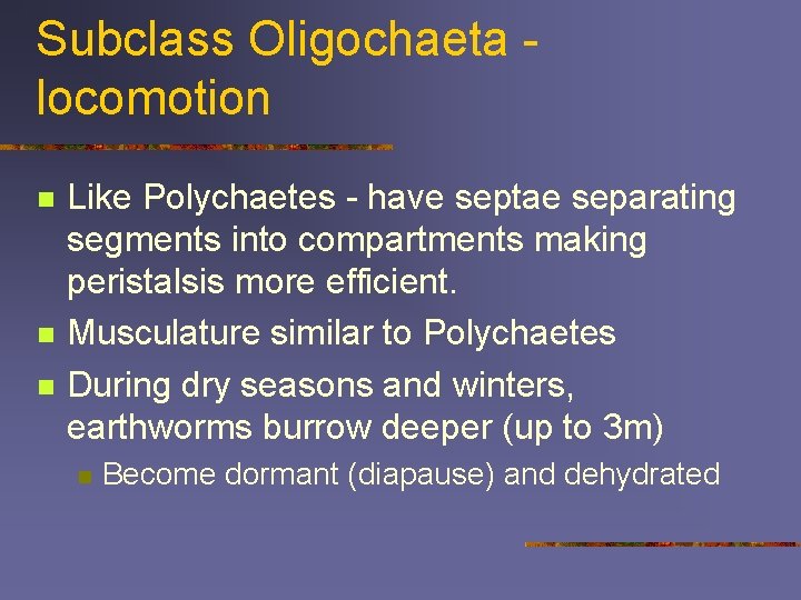 Subclass Oligochaeta locomotion n Like Polychaetes - have septae separating segments into compartments making
