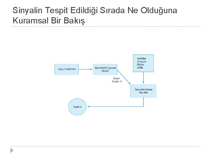 Sinyalin Tespit Edildiği Sırada Ne Olduğuna Kuramsal Bir Bakış 