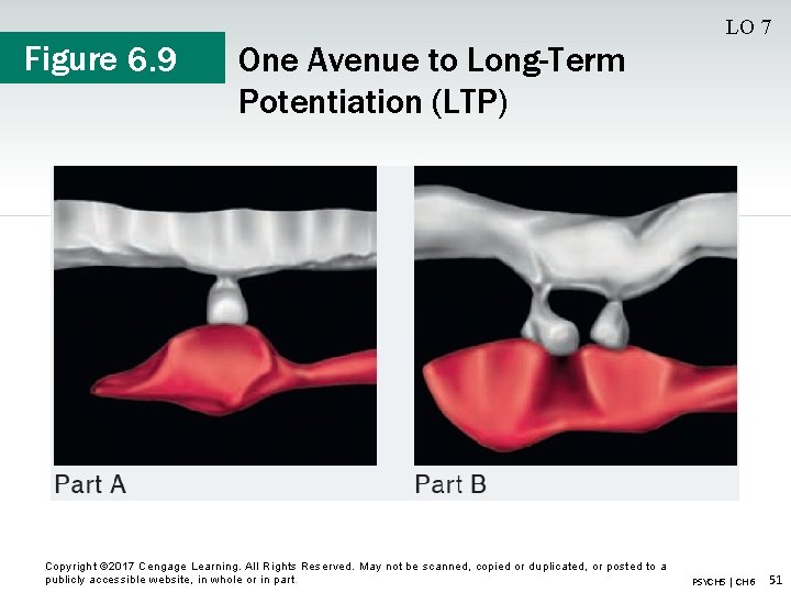 Figure 6. 9 LO 7 One Avenue to Long-Term Potentiation (LTP) Copyright © 2017
