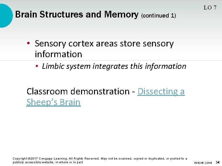 Brain Structures and Memory (continued 1) LO 7 • Sensory cortex areas store sensory