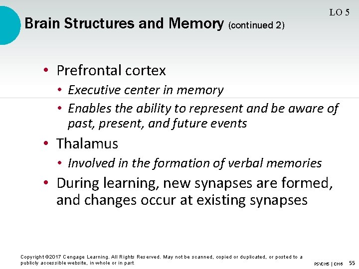 LO 5 Brain Structures and Memory (continued 2) • Prefrontal cortex • Executive center
