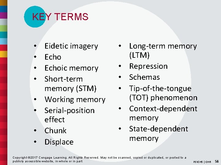 KEY TERMS • • Eidetic imagery Echoic memory Short-term memory (STM) Working memory Serial-position