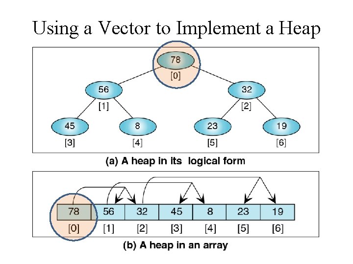 Using a Vector to Implement a Heap 