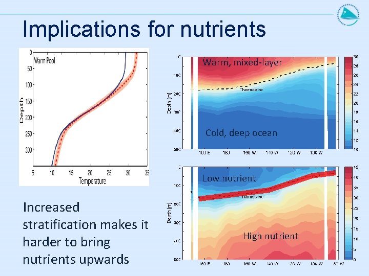 Implications for nutrients Warm, mixed-layer Cold, deep ocean Low nutrient Increased stratification makes it